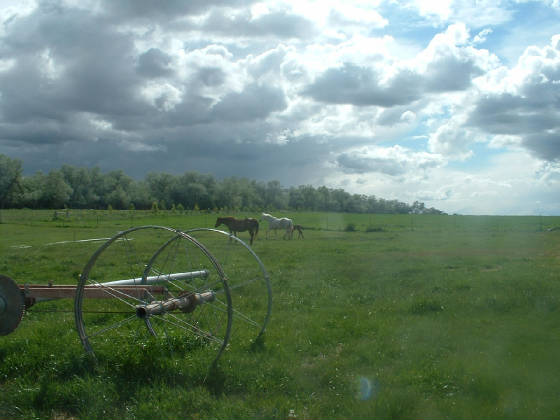 view.jpg